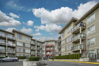 Photo 1: C216 20211 66 Avenue in Langley: Willoughby Heights Condo for sale : MLS®# R2532757