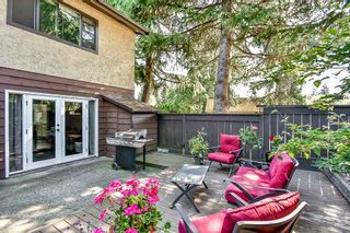 Photo 2: 256 9452 PRINCE CHARLES BLV Boulevard in Surrey: Queen Mary Park Surrey Townhouse for sale in "PRINCE CHARLES ESTATES" : MLS®# R2186774