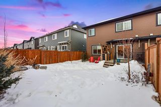 Photo 43: 207 Kinniburgh Road: Chestermere Semi Detached for sale : MLS®# A1057912