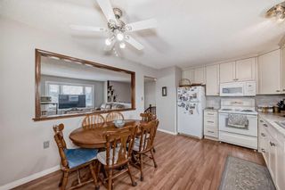 Photo 11: 3816 Dover Ridge Drive SE in Calgary: Dover Detached for sale : MLS®# A2124560