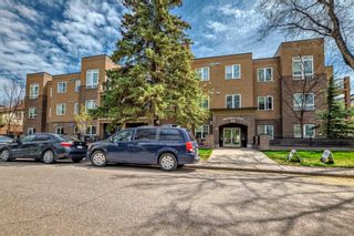Photo 1: 202 518 33 Street NW in Calgary: Parkdale Apartment for sale : MLS®# A2128521