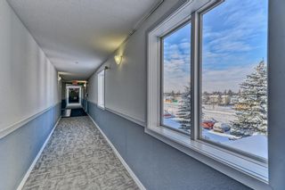 Photo 5: 409 1717 60 Street SE in Calgary: Red Carpet Apartment for sale : MLS®# A2010861