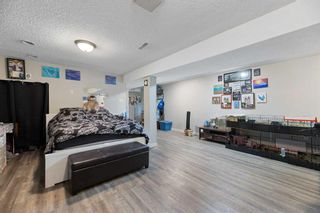 Photo 15: 90 Midridge Gardens SE in Calgary: Midnapore Semi Detached (Half Duplex) for sale : MLS®# A2075652