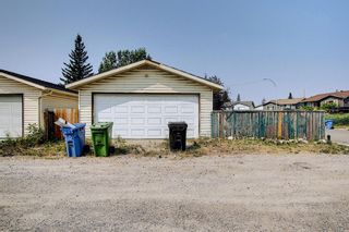 Photo 43: 180 Castledale Way NE in Calgary: Castleridge Detached for sale : MLS®# A1135509