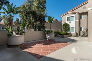 Photo 22: SAN DIEGO Condo for sale : 1 bedrooms : 7425 Charmant Dr #2603