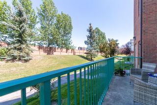 Photo 20: 118 1920 14 Avenue NE in Calgary: Mayland Heights Apartment for sale : MLS®# A2012767