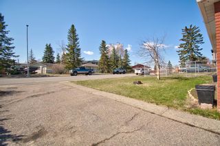 Photo 8: 7724 46 Avenue NW in Calgary: Bowness Detached for sale : MLS®# A2097865