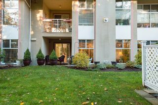 Photo 32: 101 11609 227 Street in Maple Ridge: East Central Condo for sale in "Emerald Manor" : MLS®# R2877856