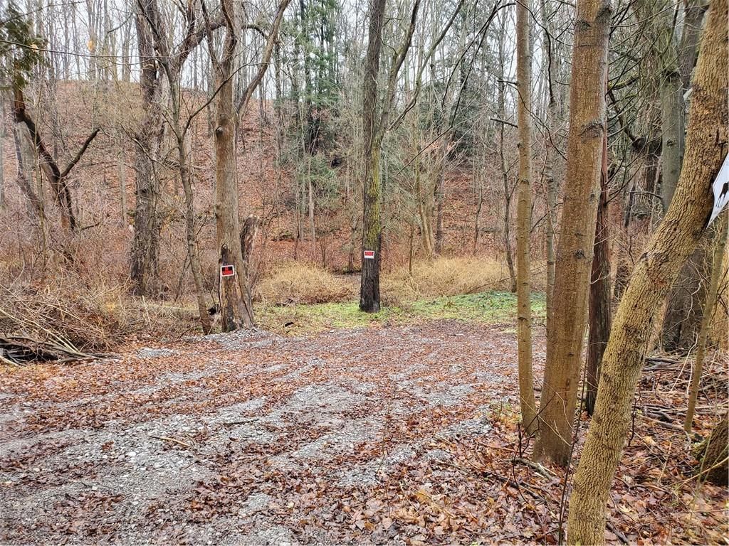 Main Photo: 220 LUFFMAN Drive in Pelham: Vacant Land for sale : MLS®# H4161081