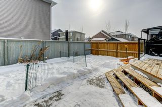 Photo 29: 521 Bayside Row SW: Airdrie Detached for sale : MLS®# A2029922
