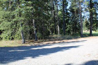 Photo 8: 330504 Rge Rd 51: Rural Mountain View County Residential Land for sale : MLS®# A1189876