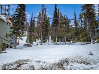 Photo 9: 7370 Porcupine Road in Big White: Vacant Land for sale : MLS®# 10304581