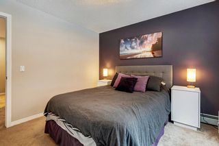Photo 23: 141 22 Richard Place SW in Calgary: Lincoln Park Apartment for sale : MLS®# A2010904