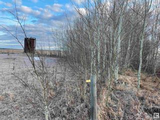 Photo 3: 56506 RR 273: Rural Sturgeon County Rural Land/Vacant Lot for sale : MLS®# E4278603