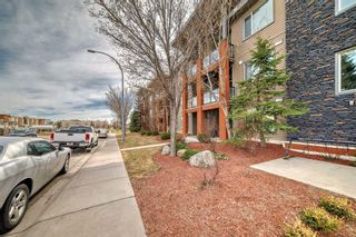Photo 26: 313 2727 28 Avenue SE in Calgary: Dover Apartment for sale : MLS®# A2125094