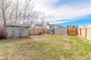 Photo 37: 136 Erin Ridge Road SE in Calgary: Erin Woods Detached for sale : MLS®# A2124973
