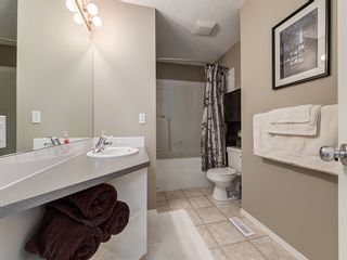 Photo 27: 87 Chapman Circle SE in Calgary: Chaparral House for sale : MLS®# 	C4064813
