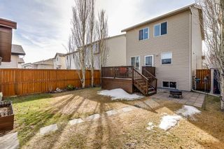 Photo 26: 220 Luxstone Place SW: Airdrie Detached for sale : MLS®# A2121810