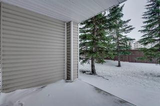 Photo 22: 2119 6224 17 Avenue SE in Calgary: Red Carpet Apartment for sale : MLS®# A2011902
