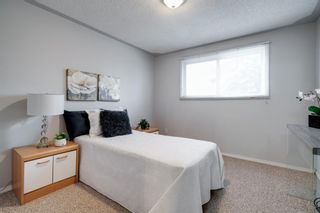 Photo 16: 43 Doverdale Mews SE in Calgary: Dover Row/Townhouse for sale : MLS®# A1052608