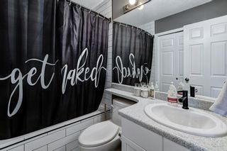 Photo 18: 131 Sunridge Crescent NW: Airdrie Detached for sale : MLS®# A2023787