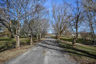 Photo 3: 282 & 296 Rockwell Mountain Road in Centreville: 404-Kings County Residential for sale (Annapolis Valley)  : MLS®# 202108448