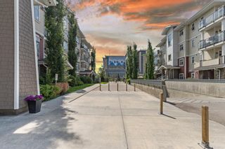 Photo 29: 105 22 Auburn Bay Link SE in Calgary: Auburn Bay Apartment for sale : MLS®# A1233608
