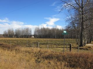 Photo 35: NW 24-54 RR 131: Niton Junction Rural Land for sale (Edson)  : MLS®# 32590