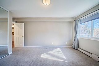 Photo 14: 14 210 25 Avenue SW in Calgary: Mission Apartment for sale : MLS®# A2114263