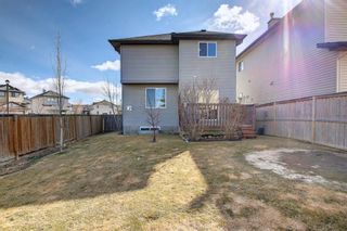 Photo 43: 615 Luxstone Landing SW: Airdrie Detached for sale : MLS®# A1204804