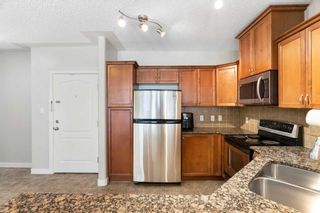Photo 11: 103 30 Discovery Ridge Close SW in Calgary: Discovery Ridge Apartment for sale : MLS®# A2068912