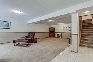 Photo 24: 53 Edgepark Villas NW in Calgary: Edgemont Semi Detached for sale : MLS®# A1059296