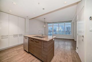 Photo 10: 508 38 9 Street NE in Calgary: Bridgeland/Riverside Apartment for sale : MLS®# A2120336
