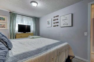 Photo 18: 3912 30 Avenue SE in Calgary: Dover Row/Townhouse for sale : MLS®# A2143440