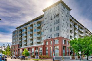 Photo 21: 305 46 9 Street NE in Calgary: Bridgeland/Riverside Apartment for sale : MLS®# A1208978