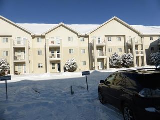 Photo 20: 104 56 Carroll Crescent W: Red Deer Apartment for sale : MLS®# A2000402