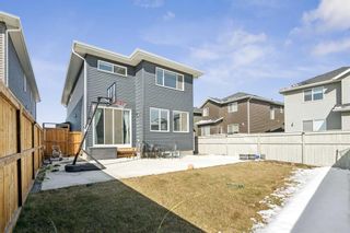 Photo 47: 236 Red Sky Terrace NE in Calgary: Redstone Detached for sale : MLS®# A2125780