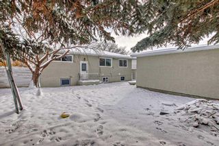 Photo 32: 14 Cornell Road NW in Calgary: Cambrian Heights Detached for sale : MLS®# A2090560