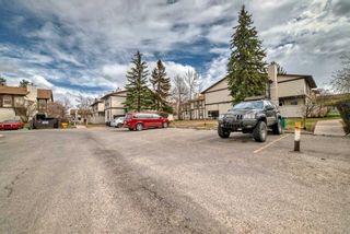 Photo 41: 19 3200 60 Street NE in Calgary: Pineridge Row/Townhouse for sale : MLS®# A2127464