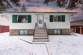 Photo 1: 2027 42 Street SE in Calgary: Forest Lawn Detached for sale : MLS®# A2014734