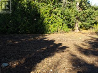 Photo 10: 4021 Torry Road in Eagle Bay: Vacant Land for sale : MLS®# 10307672