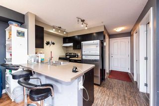 Photo 12: 305 7130 80 Avenue NE in Calgary: Saddle Ridge Apartment for sale : MLS®# A2129427