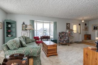 Photo 9: 489 St Joseph Avenue West in St Pierre-Jolys: R17 Residential for sale : MLS®# 202007491
