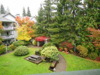 Photo 17: 311 1150 LYNN VALLEY Road in North Vancouver: Lynn Valley Condo for sale in "The Laurels" : MLS®# R2216205