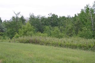 Photo 15: Lot 17 Con 2 in Amaranth: Rural Amaranth Property for sale : MLS®# X4680333