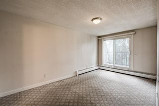 Photo 13: 5104 27 Grier Place NE in Calgary: Greenview Apartment for sale : MLS®# A1236307