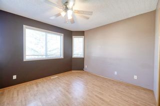 Photo 23: 172 ERIN MEADOW Way SE in Calgary: Erin Woods Detached for sale : MLS®# A1028932