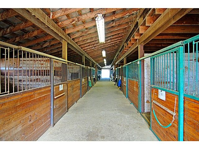 Photo 5: Photos: 21515 18TH Avenue in Langley: Campbell Valley House for sale in "Equestrian Riding Ring" : MLS®# F1407978