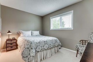 Photo 22: 239 COACHWAY Road SW in Calgary: Coach Hill Detached for sale : MLS®# C4258685
