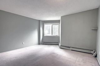 Photo 14: 327 820 89 Avenue SW in Calgary: Haysboro Apartment for sale : MLS®# A1170010
